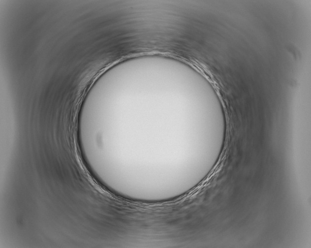 X0000113030097200908271104