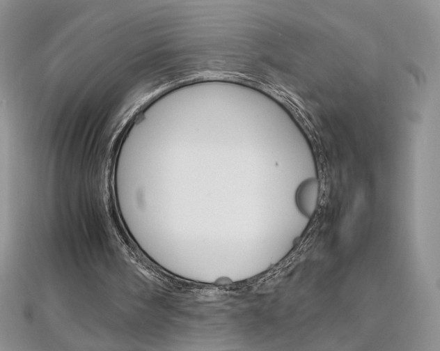 X0000113030098200908271104