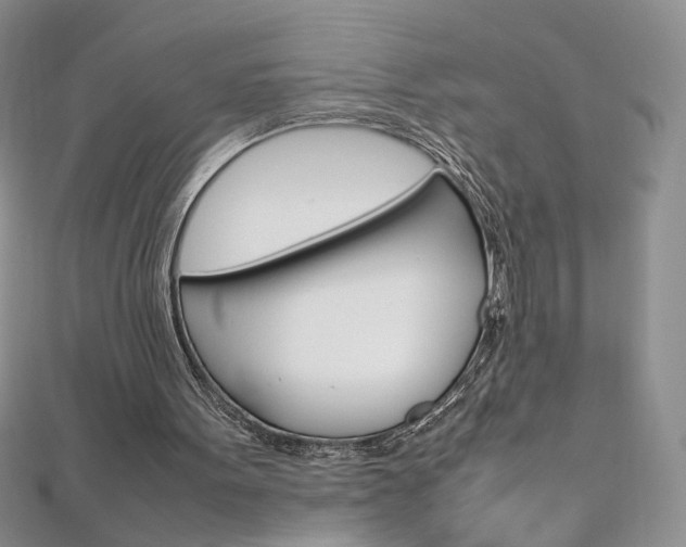 X0000113030099200908271104