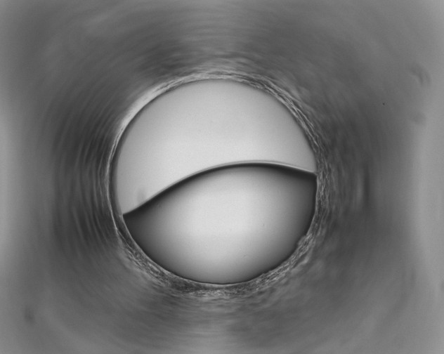 X0000113030100200908271104