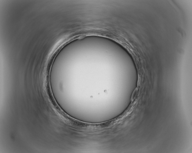 X0000113030101200908271104