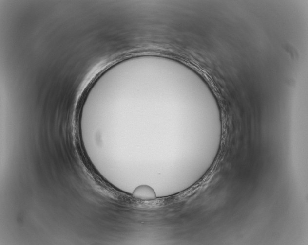 X0000113030102200908271104