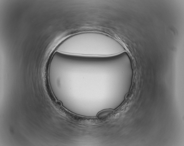 X0000113030103200908271104