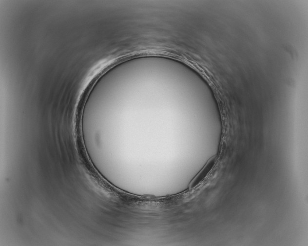 X0000113030104200908271104