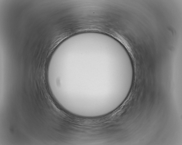 X0000113030105200908271104