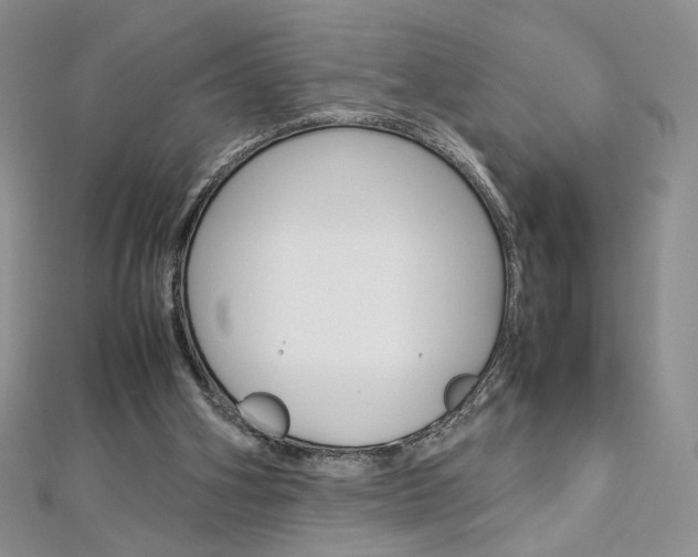 X0000113030106200908271104