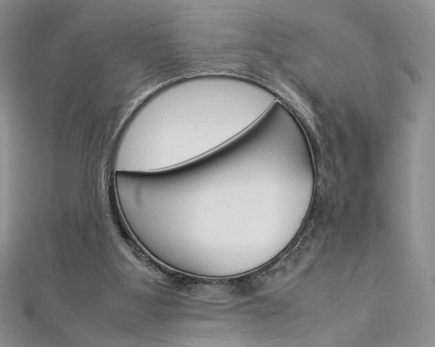 X0000113030107200908271104