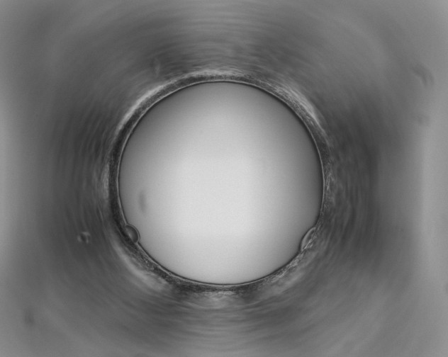 X0000113030108200908271104