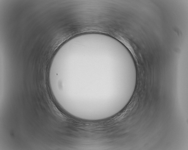 X0000113030109200908271104