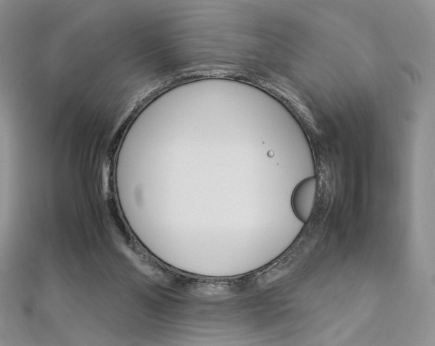 X0000113030110200908271104