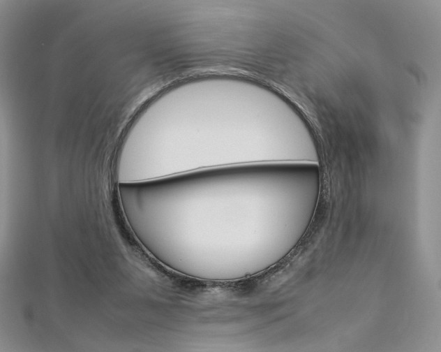 X0000113030111200908271104