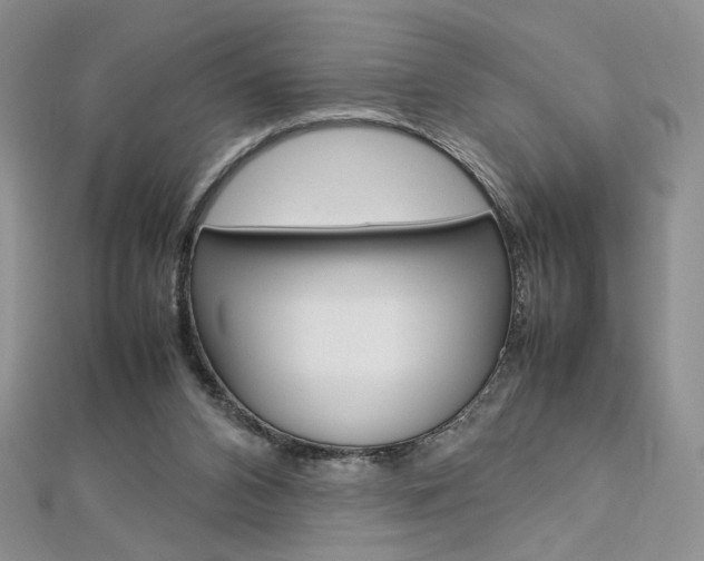 X0000113030112200908271104