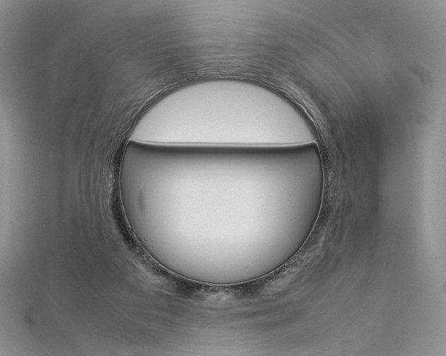 X0000113030113200908271104