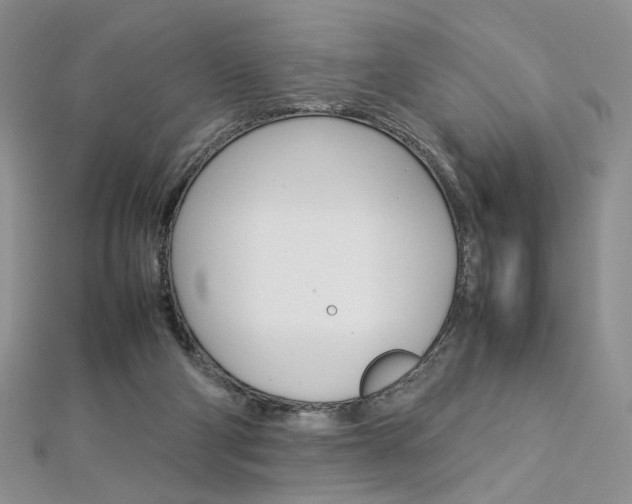 X0000113030114200908271104