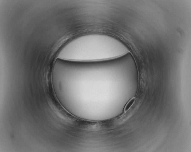 X0000113030116200908271104