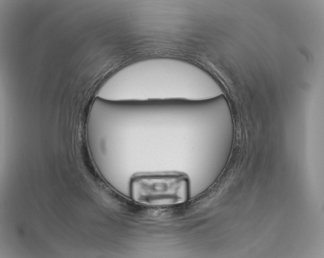 X0000113030117200908271104