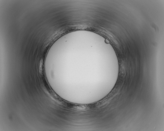 X0000113030118200908271104