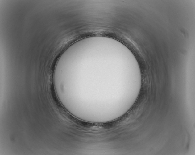 X0000113030119200908271104