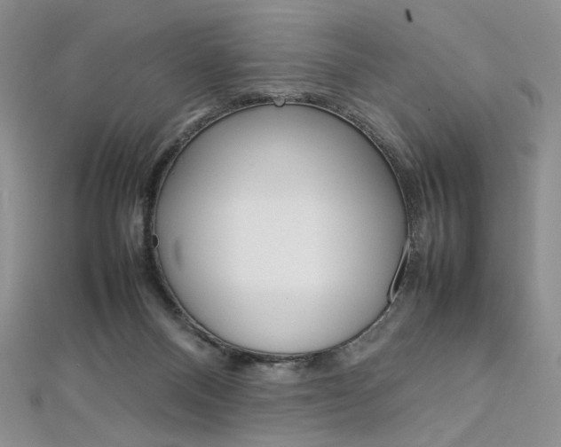 X0000113030120200908271104