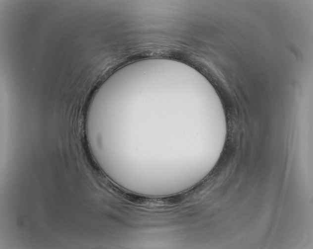 X0000113030123200908271103