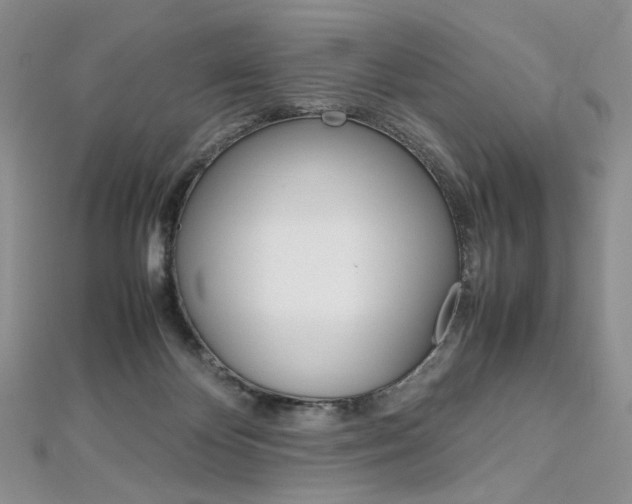 X0000113030124200908271103