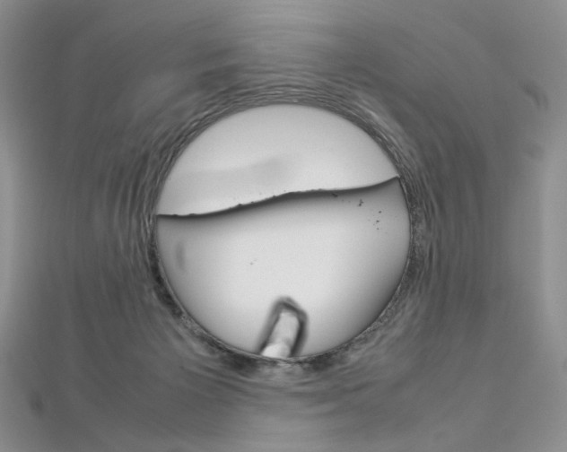 X0000113030125200908271103