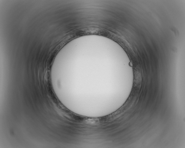 X0000113030126200908271103