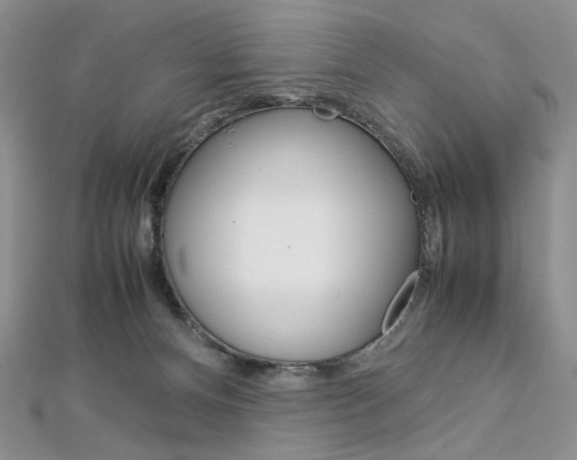 X0000113030128200908271103