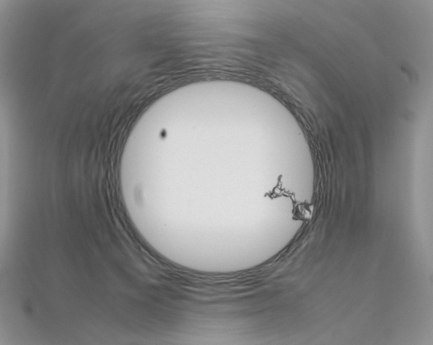 X0000113030129200908271103