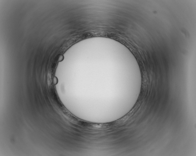 X0000113030130200908271103