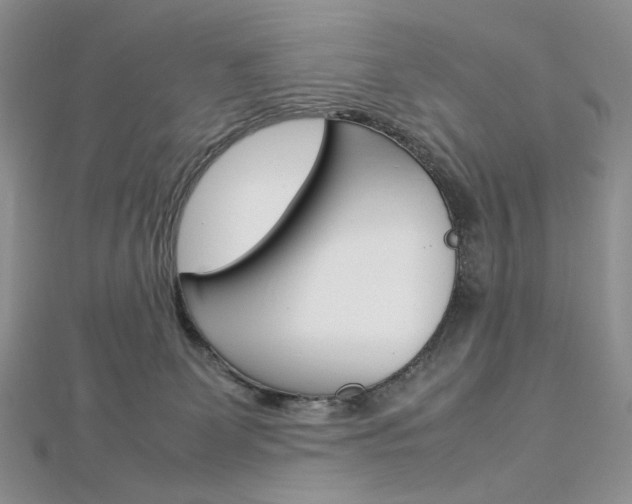 X0000113030131200908271103