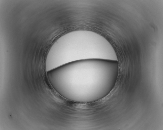 X0000113030132200908271103