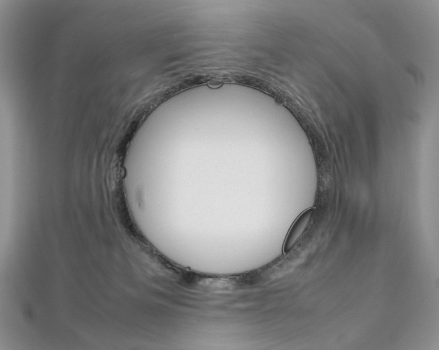 X0000113030133200908271103