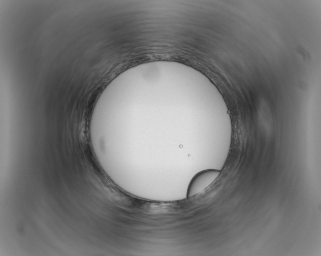 X0000113030134200908271103