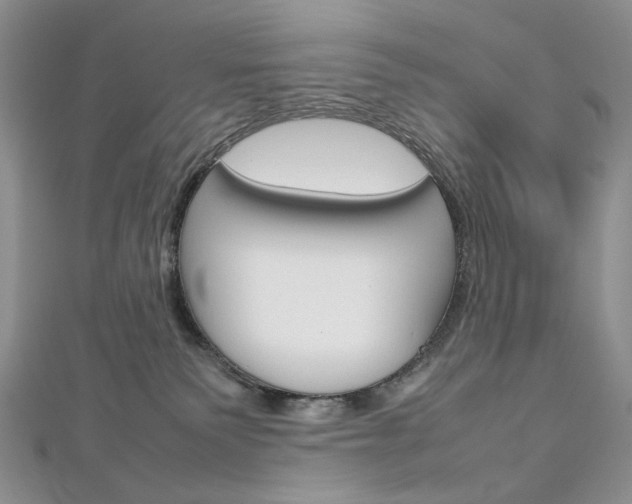 X0000113030135200908271103