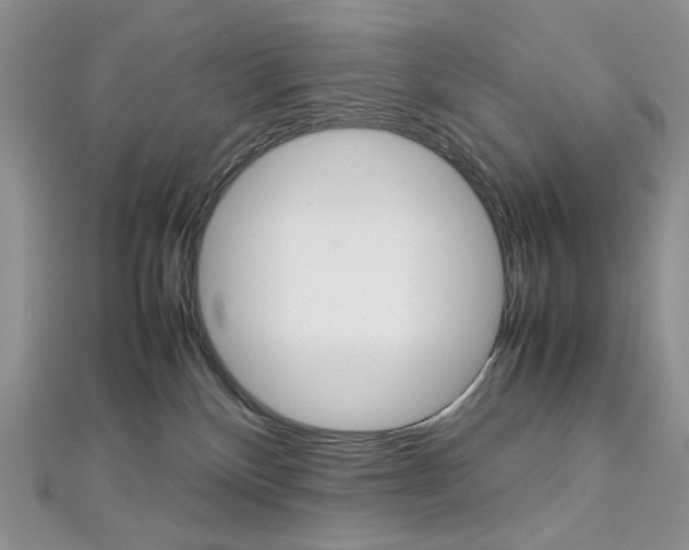 X0000113030136200908271103