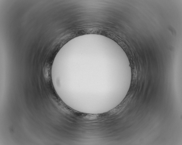 X0000113030138200908271103