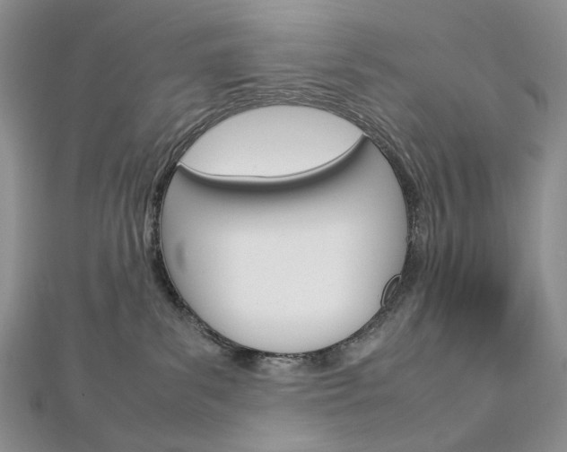 X0000113030139200908271103