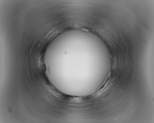 X0000113030140200908271103