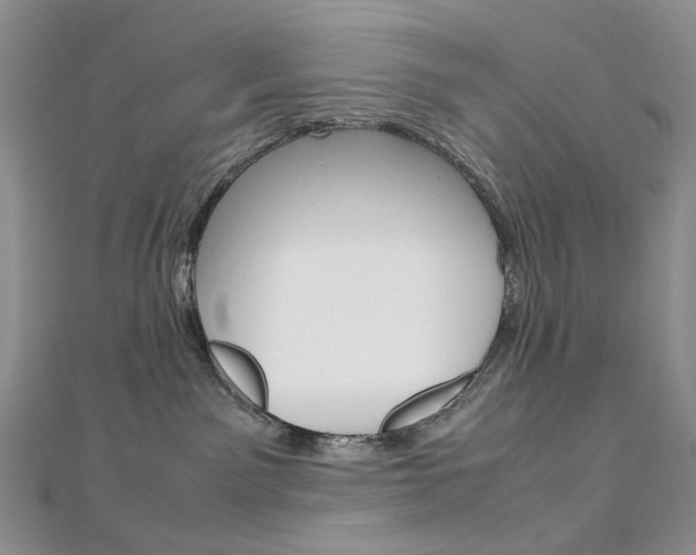 X0000113030141200908271103