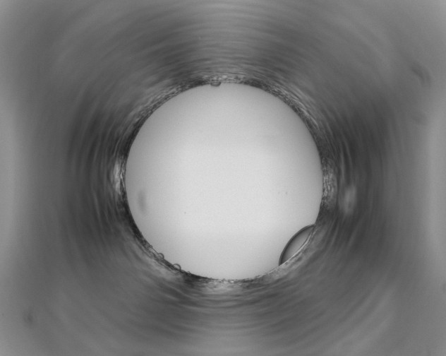 X0000113030142200908271103