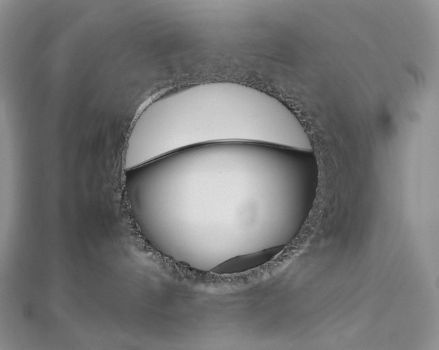 X0000113030144200908271103