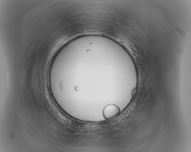 X0000113030145200908271103