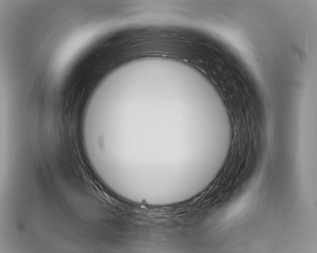 X0000113030146200908271103