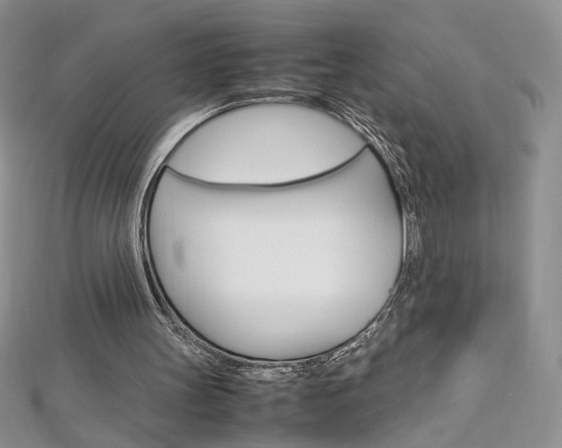 X0000113030147200908271103