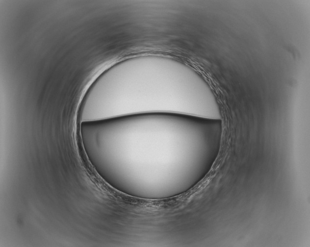 X0000113030148200908271103