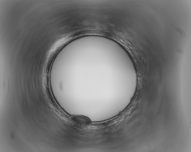 X0000113030149200908271103