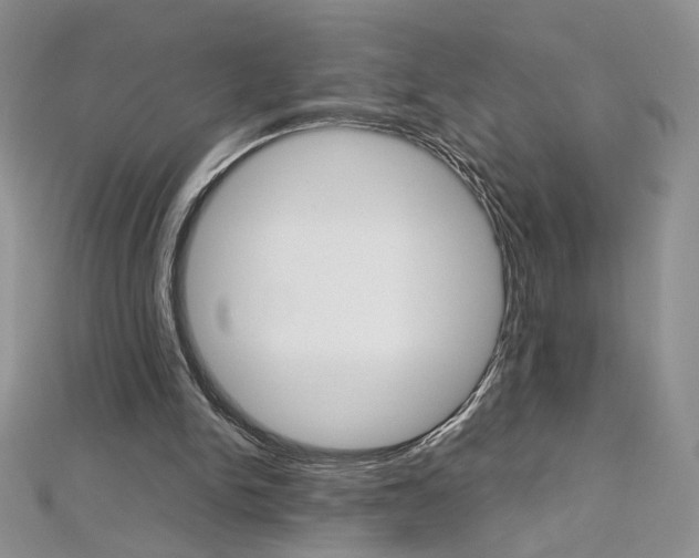 X0000113030150200908271103