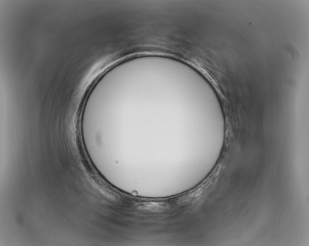 X0000113030151200908271103