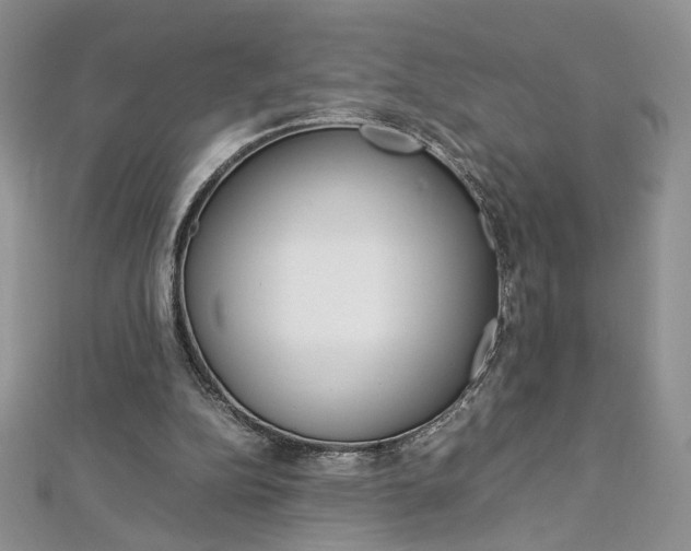 X0000113030152200908271103